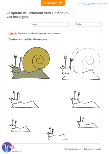 faire les spirales pour dessiner les coquilles des escargots - la spirale en graphisme ms gs