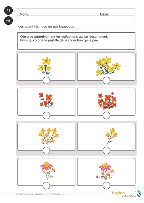 Prévisualisation de la fiche comparer des bouquets de fleurs peu ou beaucoup PS MS.