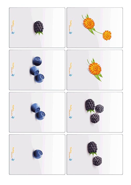 Cartes Pick Up Go à imprimer pour activité sur les nombres jusqu'à 3 - Développer le sens du nombre en comptant de petites quantités en Petite Section.