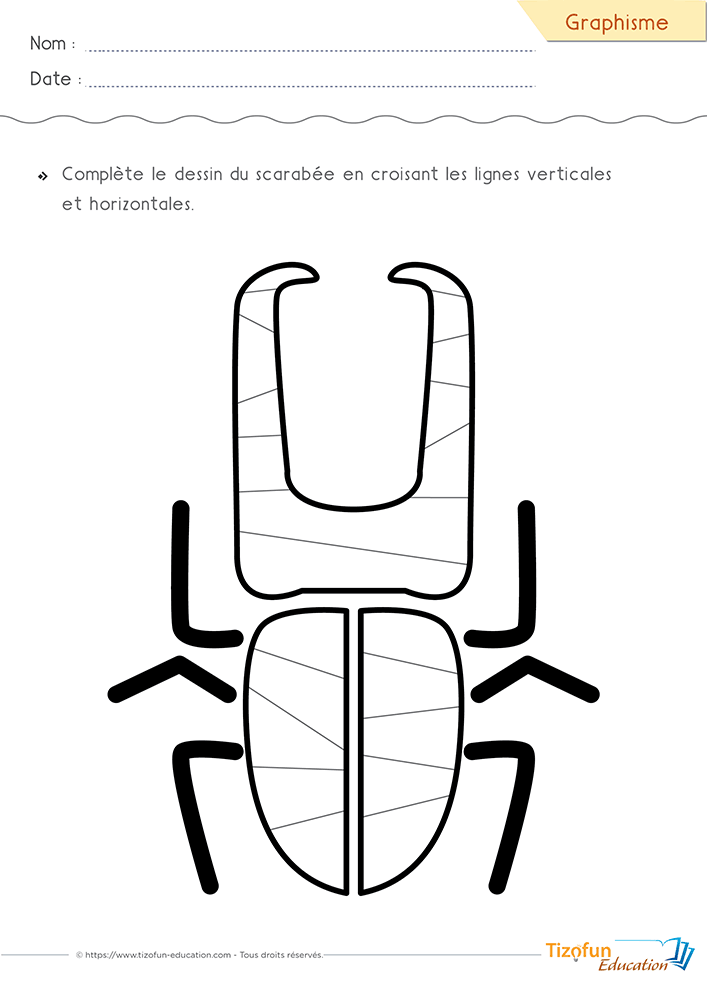Activité de graphisme avec des lignes horizontales et verticales sur un scarabée en maternelle pour entraîner la précision du geste et préparer progressivement l'écriture.