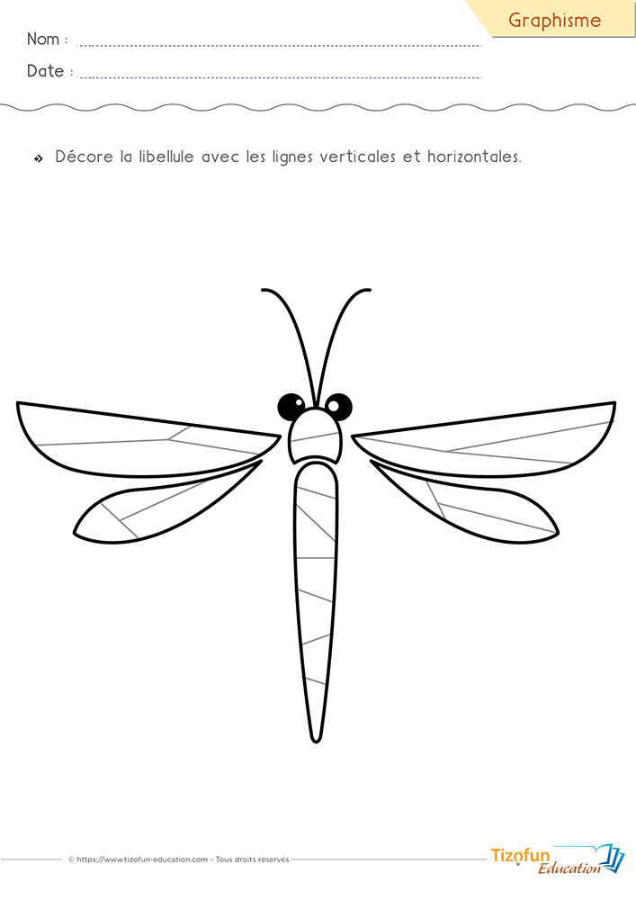 Activité de Graphisme avec des lignes horizontales et verticales sur une libellule en Maternelle pour développer la précision du geste graphique.