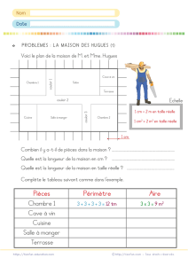 Problème périmètre aire plan maison CM1 6e : lecture de plan et calculs