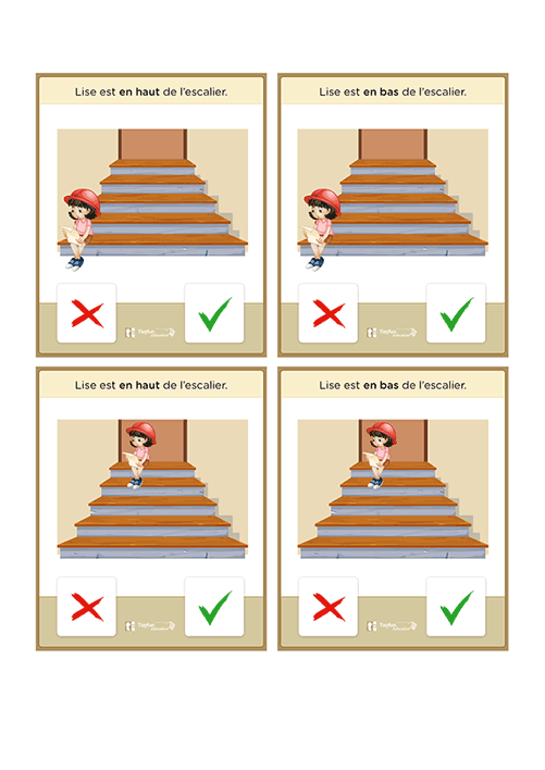 Jeu des positions haut et bas en Maternelle composé de cartes Vrai ou Faux pour développer le repérage spatial et l'auto-correction en MS et GS.