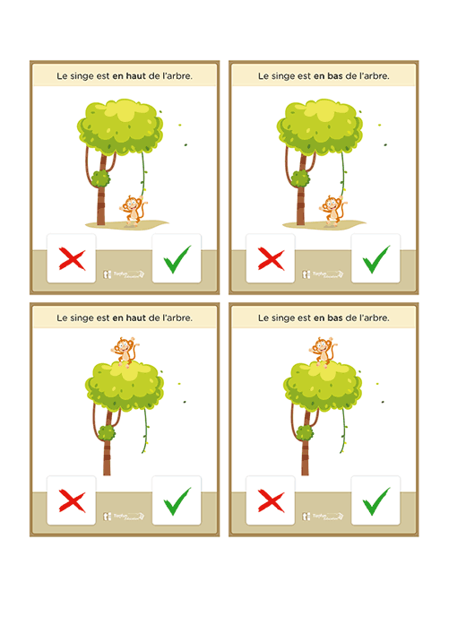 Quatre cartes d'evaluation spatiale avec options de validation vrai ou faux représentant un singe en haut de l'arbre et le même singe en bas de l'arbre.