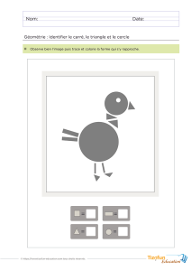 Reconnaître les formes géométriques en GS avec un oiseau à observer