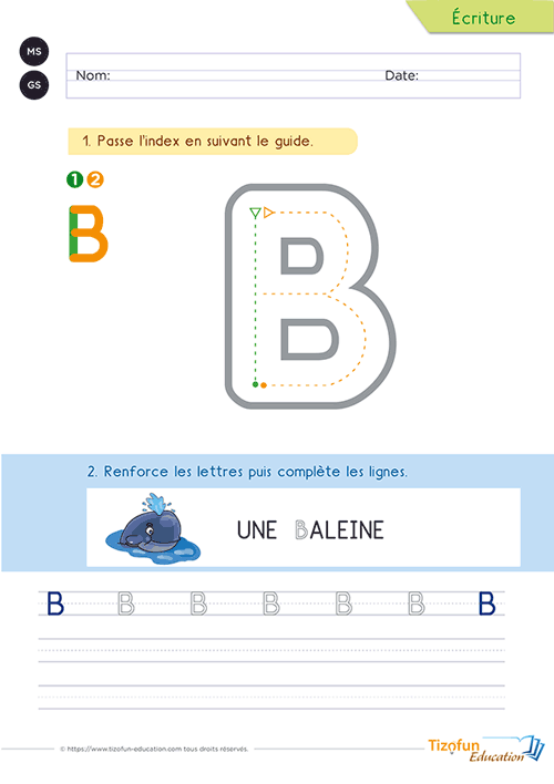 Activité pour écrire la lettre B majuscule en Maternelle avec un tracé guidé, le mot repère « baleine » et des lignes d'entraînement.