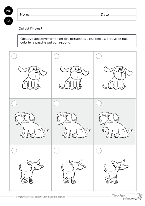 Prévisualisation de fiches à imprimer où les enfants comparent trois illustrations pour retrouver l'intrus en développant leur discrimination visuelle.