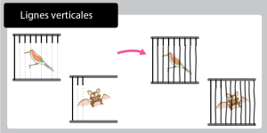 Activité de graphisme sur les lignes verticales en PS et MS pour renforcer les barreaux des cages et développer la précision du geste.