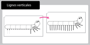 Activité de Graphisme sur les lignes verticales en PS et MS pour compléter les pattes de Jojo le mille-pattes avec des tracés réguliers.