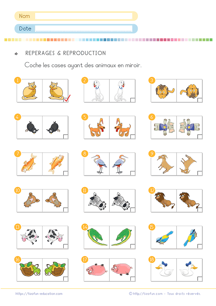 Activité de géométrie où les élèves apprennent à reconnaître la symétrie axiale en CE1 et CE2 avec des animaux en identifiant les véritables images en miroir parmi plusieurs paires illustrées.