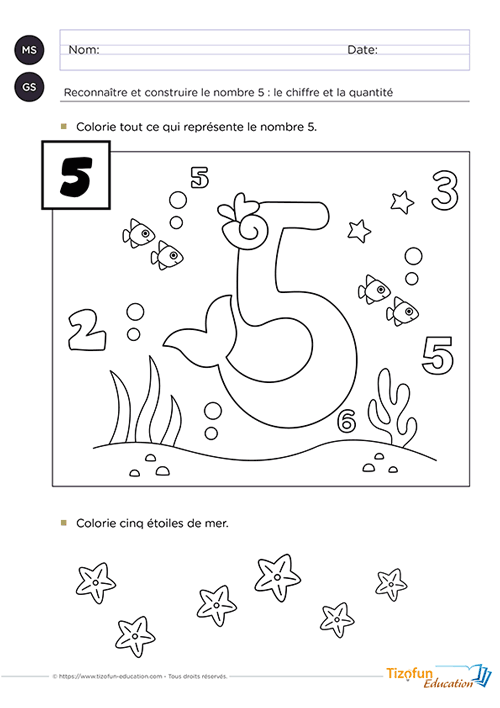 Support pédagogique de Maternelle proposant une activité de coloriage pour reconnaître le nombre 5 en MS GS, associer le chiffre à la quantité et développer les premiers repères en numération.