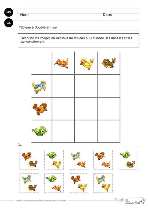 Support pédagogique de Maternelle proposant de classer des oiseaux dans un tableau à double entrée grâce au découpage et au collage afin de développer le repérage visuel, la logique, la motricité fine et le raisonnement.