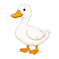 carte texte + image qui présente un canard