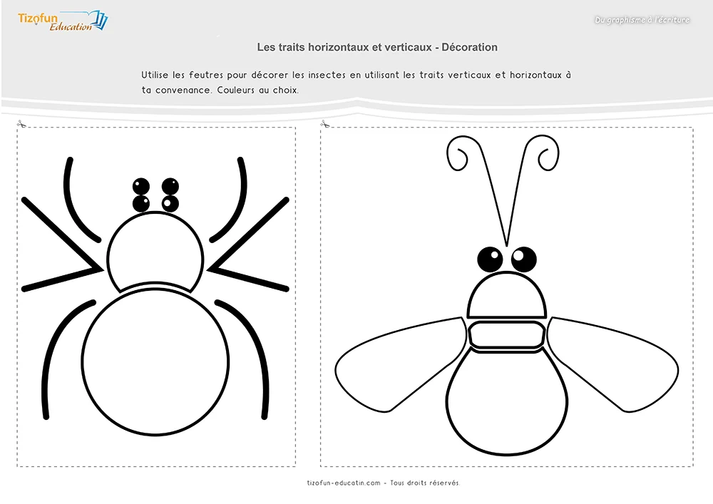 Activité de graphisme où deux insectes sont décorés avec des traits horizontaux et verticaux pour créer des motifs variés.