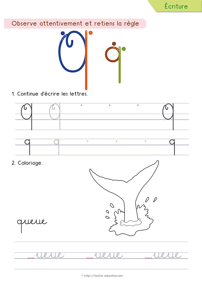 Aperçu de la fiche : le q tracé en cursive avec sa descente droite, une queue de baleine à colorier et le mot queue.