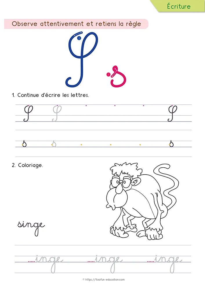 Aperçu de la fiche : le s tracé en cursive avec sa pointe, un singe à colorier et le mot singe sur lignage.