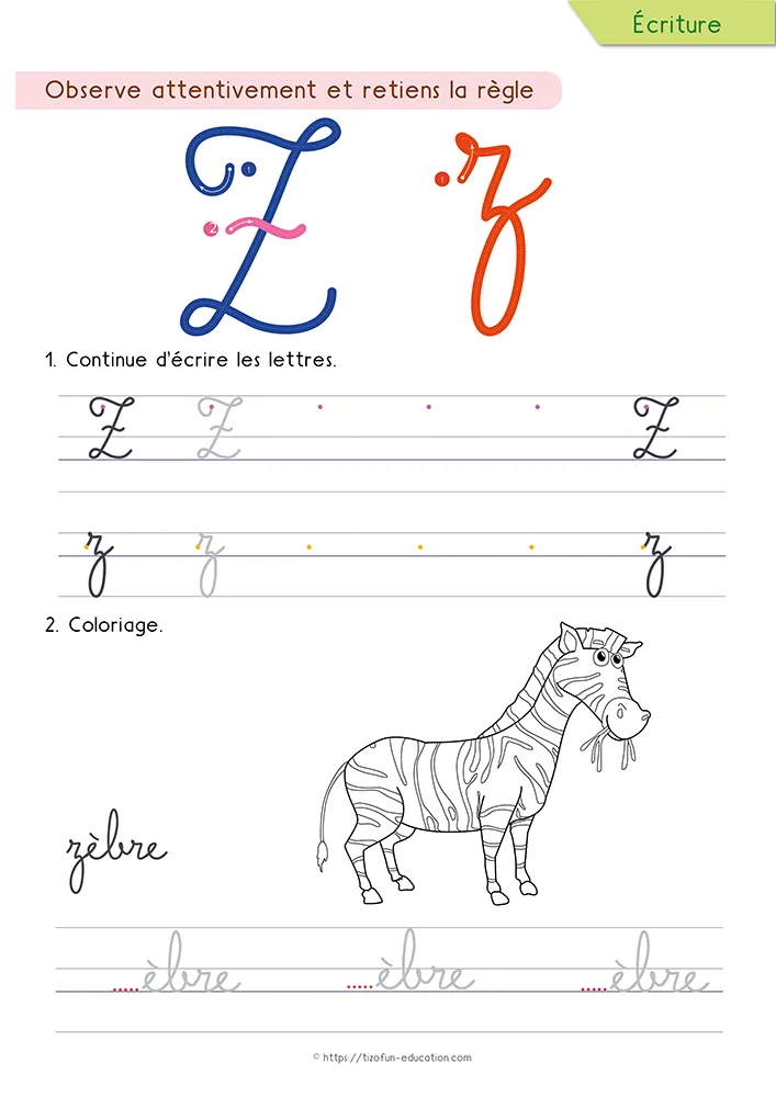 Aperçu de la fiche : le z tracé en cursive avec sa boucle basse, un zèbre à colorier et le mot zèbre sur lignage.