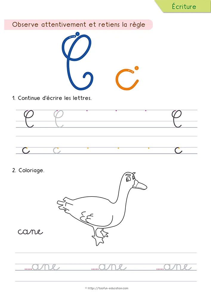 Aperçu de la fiche : le C tracé en cursive sur deux lignes, une cane à colorier et le mot cane à compléter.