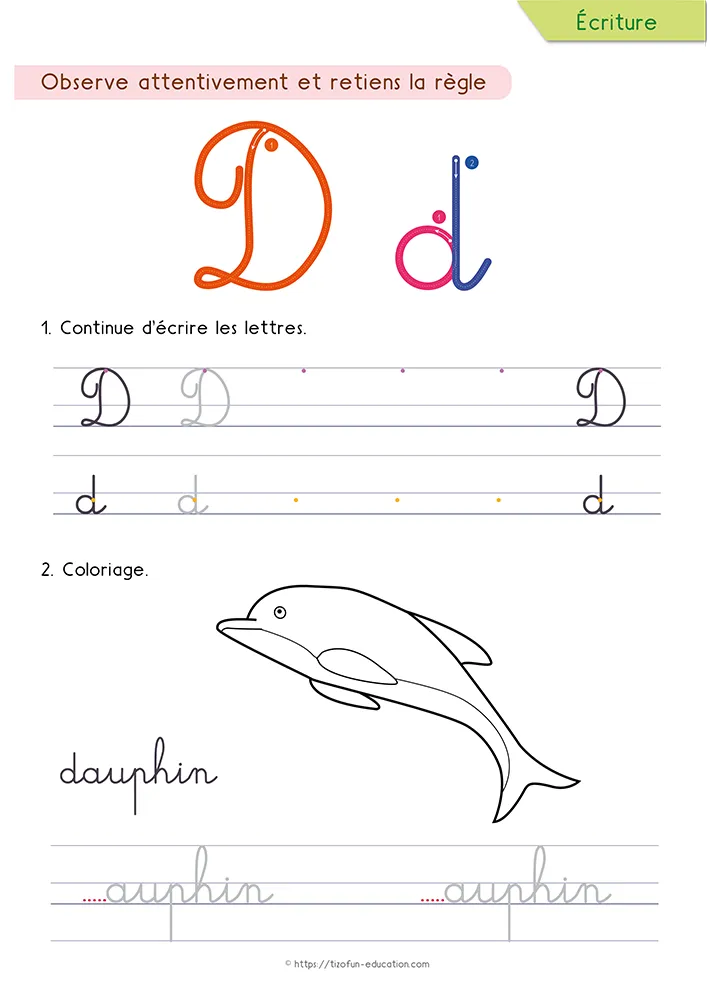 Aperçu de la fiche : le d tracé en cursive avec sa haute canne, un dauphin à colorier et le mot dauphin à compléter.
