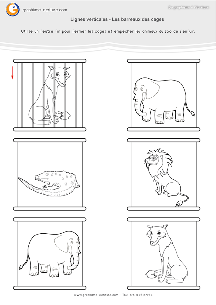 Activité de Graphisme lignes verticales cages animaux zoo Maternelle où les enfants complètent les barreaux des cages avec des traits verticaux.