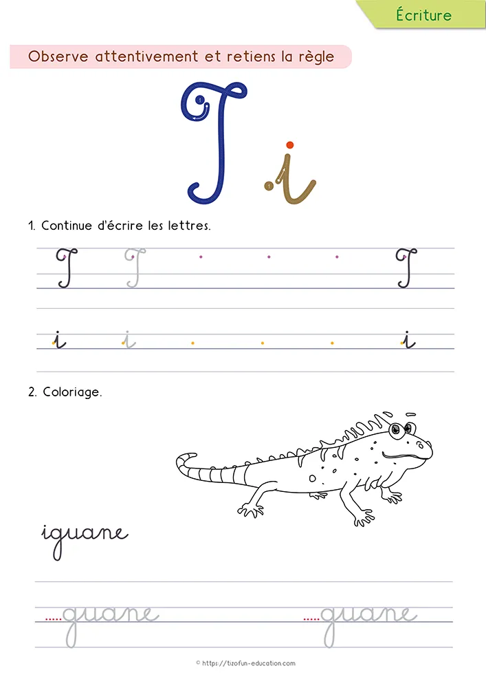 Aperçu de la fiche : le i tracé en cursive sur lignage avec son point, un iguane à colorier et le mot iguane.