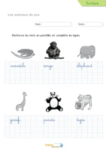 Écrire les mots des animaux du zoo en cursive : 6 animaux