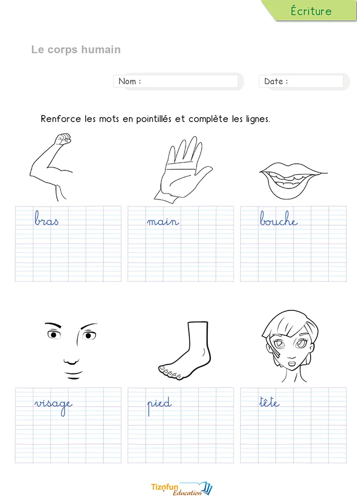 Aperçu de la fiche pour écrire les mots du corps humain en cursive : six mots du corps en pointillés.