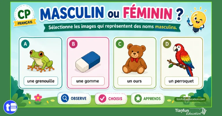 Le genre des noms - Masculin ou féminin ?