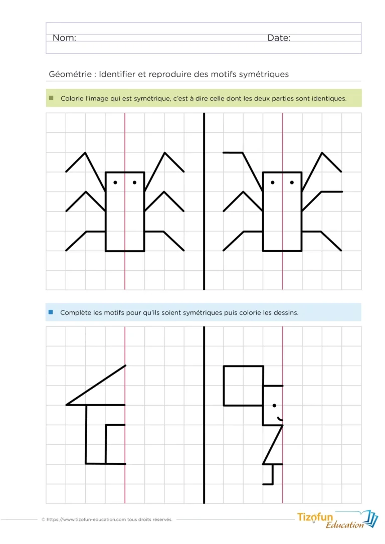 Fiche d'activité maternelle gs et cp - reconnaitre une figure ou un motif symétrique - compléter un motif symétrique