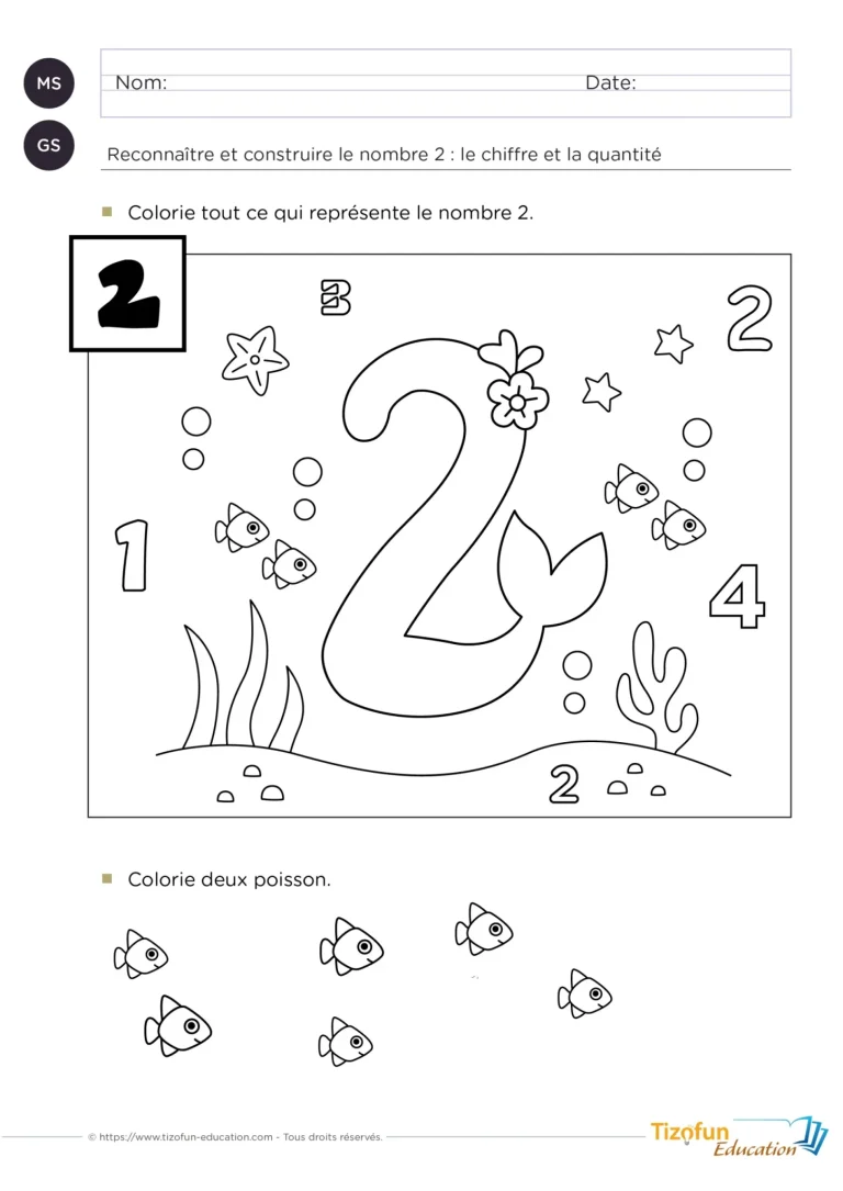 identifier et colorer le chiffre 2 - Construire une collection de deux objets
