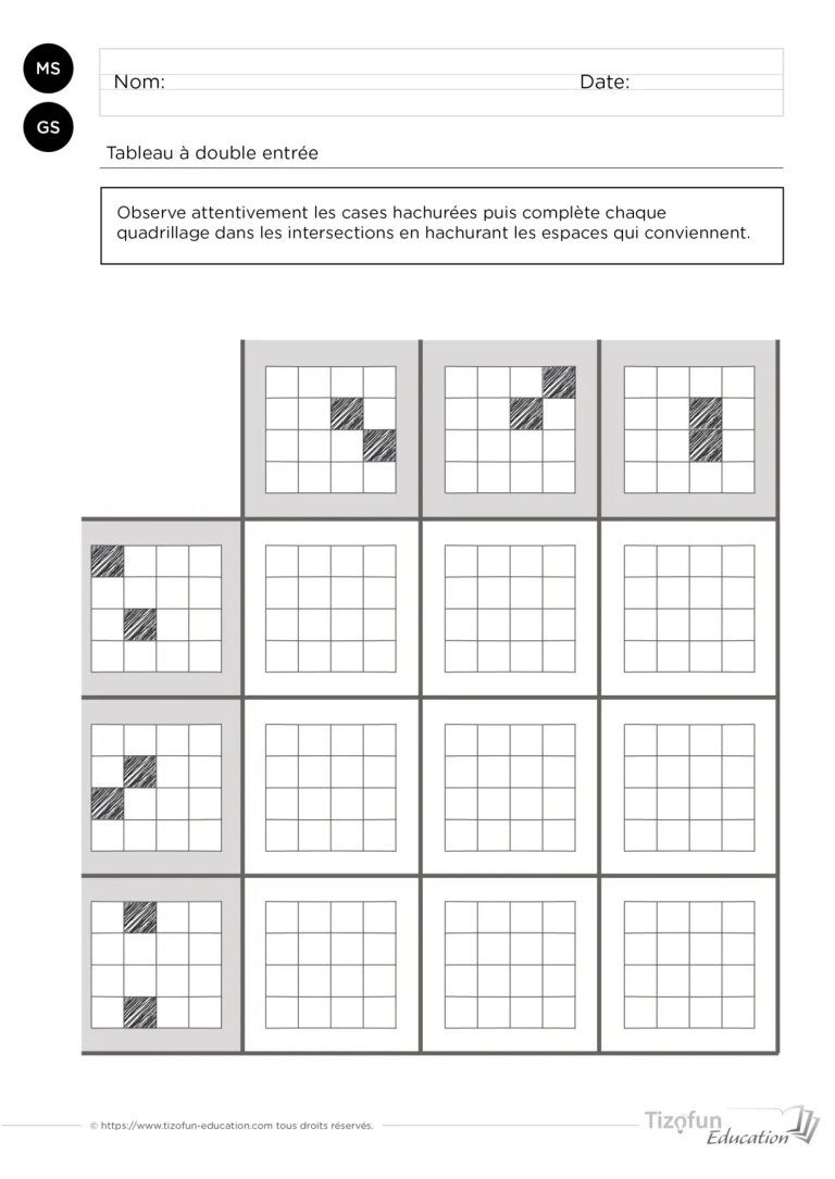 Activités tableaux à double entrées pour enfants - Combiner les motifs des entrées du tableau