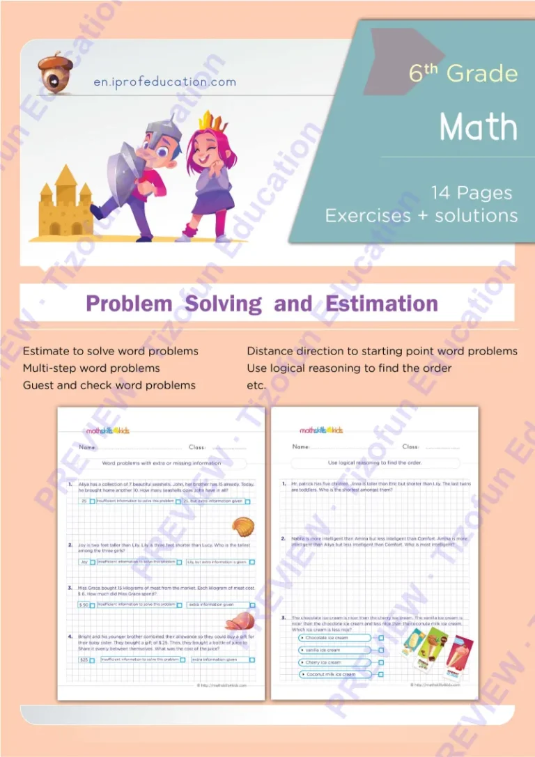 Preview 1 — Grade 6 Problems solving and estimation worksheets with solutions