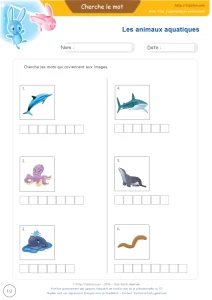 Les animaux aquatiques en images : 6 noms à écrire