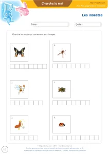 Vocabulaire des insectes du jardin en images : 6 mots