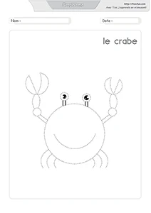 Graphisme et motricité fine : 64 dessins à reproduire — MS · GS · CP — aperçu 3