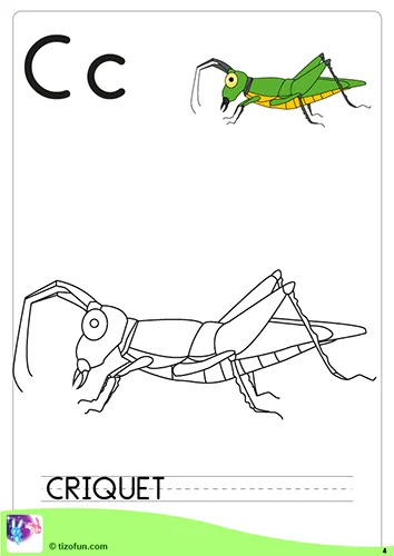 Coloriage Maternelle - le criquet