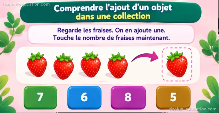 Mathématiques maternelle — Comprendre l’ajout d’un objet dans une collection