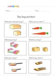 Long or Short? Six Pairs of Everyday Objects to Compare in Pre-K