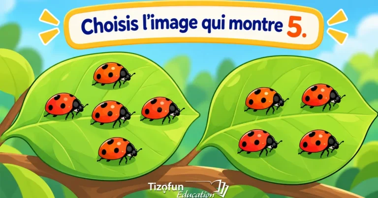 Choisis l'image qui montre 5 : deux feuilles sur une branche, l'une avec cinq coccinelles, l'autre avec quatre.